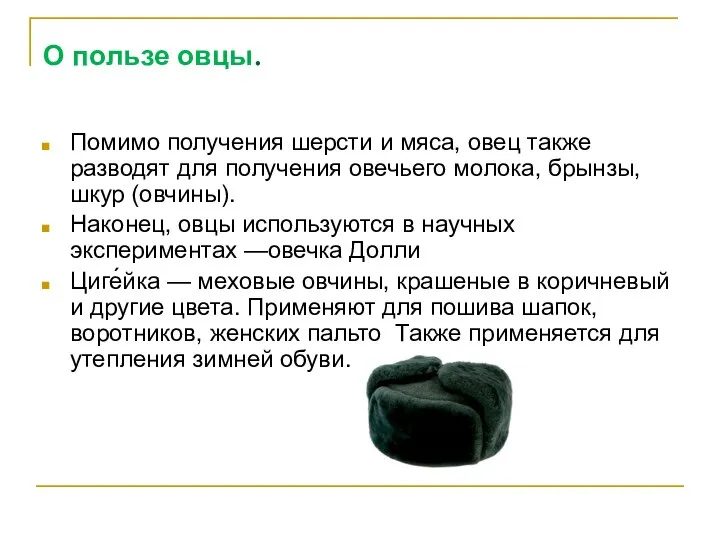 О пользе овцы. Помимо получения шерсти и мяса, овец также разводят