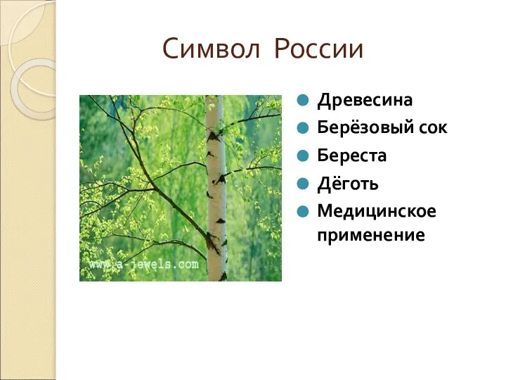 Символ России Древесина Берёзовый сок Береста Дёготь Медицинское применение