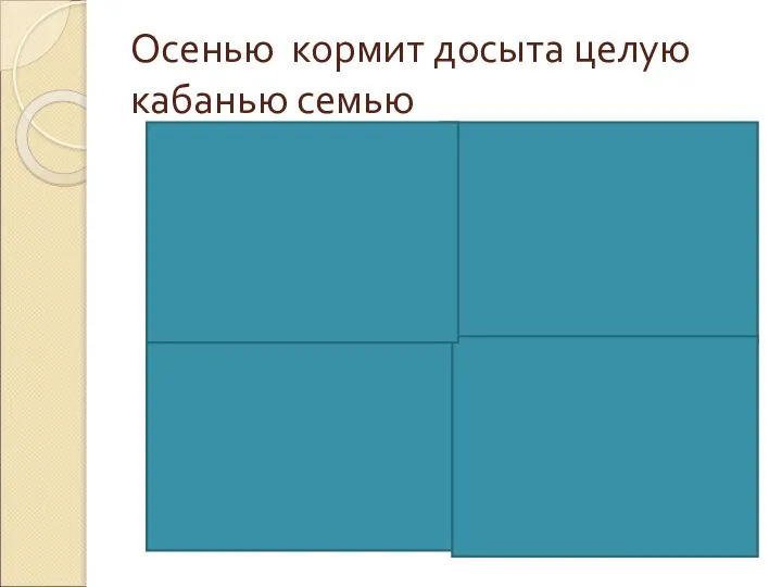 Осенью кормит досыта целую кабанью семью