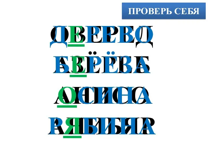 ПРОВЕРЬ СЕБЯ ОВЕРЕД АЗЁРЕБ АНИСО АНИБЯР ДЕРЕВО БЕРЁЗА ОСИНА РЯБИНА