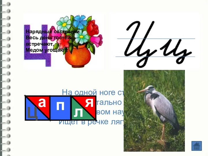 На одной ноге стоит, В воду пристально глядит. Тычет клювом наугад