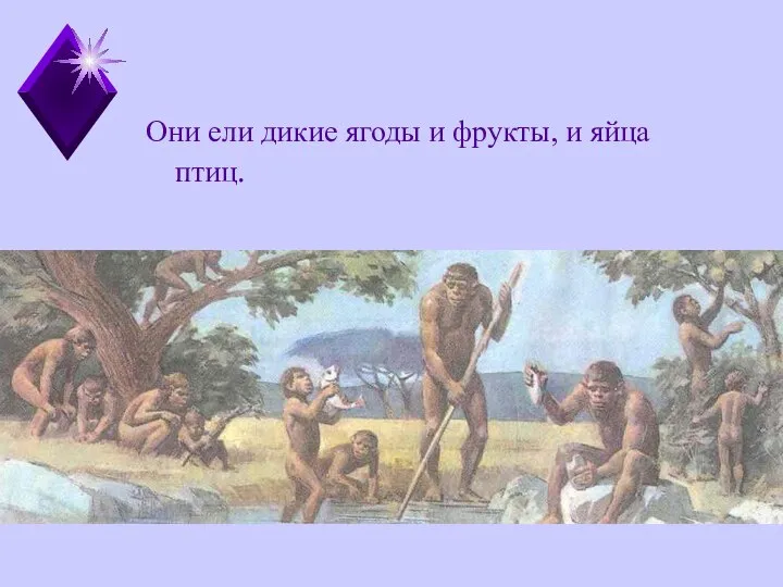 Они ели дикие ягоды и фрукты, и яйца птиц.