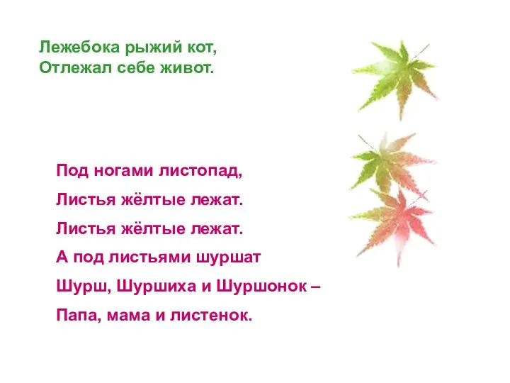 Лежебока рыжий кот, Отлежал себе живот. Под ногами листопад, Листья жёлтые