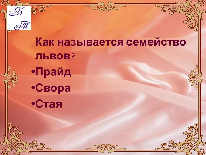 Как называется семейство львов? Прайд Свора Стая