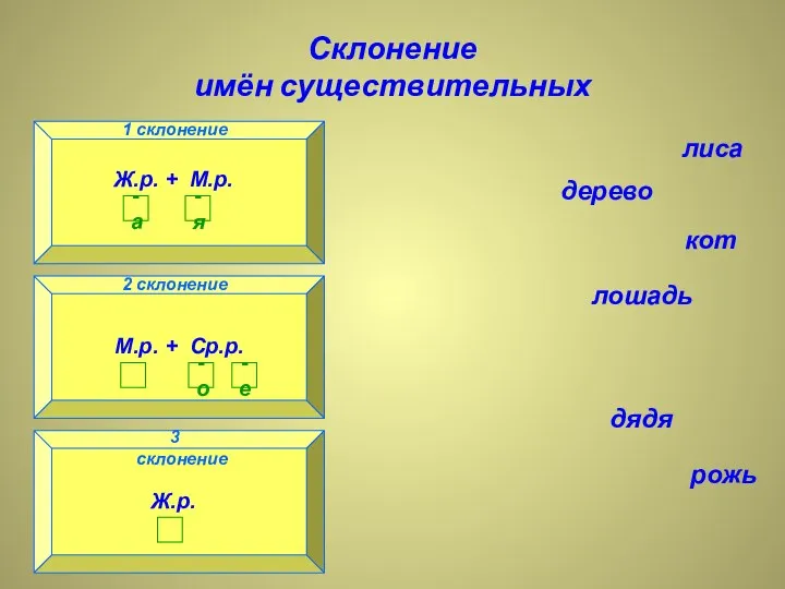 Склонение имён существительных 1 склонение 3 склонение 2 склонение лиса дерево кот лошадь дядя рожь