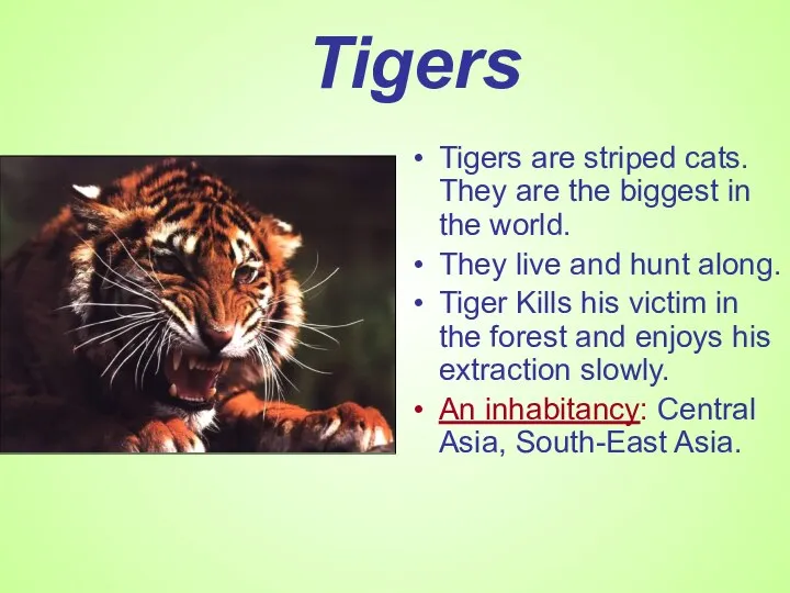 Tigers Tigers are striped cats. They are the biggest in the