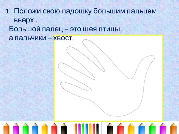 Положи свою ладошку большим пальцем вверх . Большой палец – это