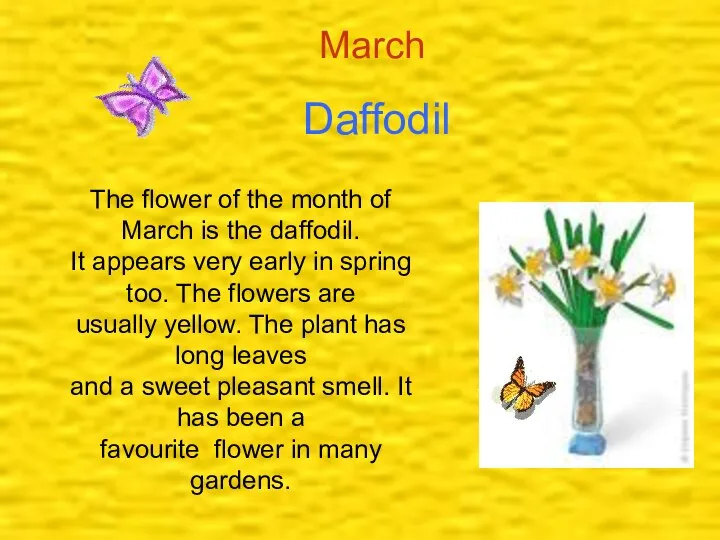 Daffodil March The flower of the month of March is the