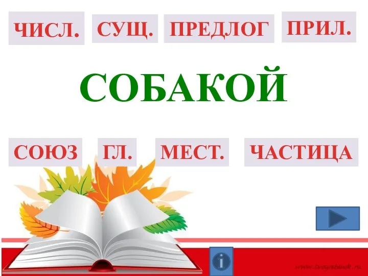 ГЛ. СУЩ. ПРИЛ. ЧИСЛ. СОЮЗ ПРЕДЛОГ ЧАСТИЦА МЕСТ. собакой