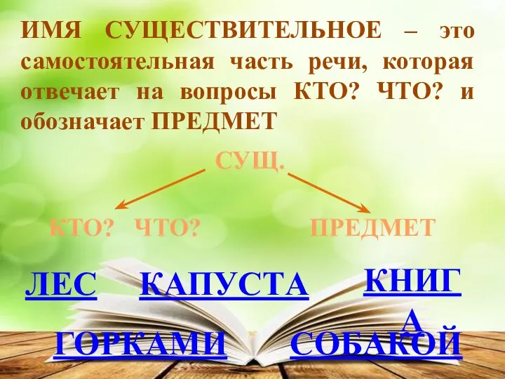 ЛЕС КАПУСТА КНИГА горками собакой