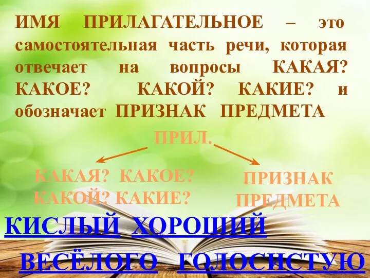 ИМЯ ПРИЛАГАТЕЛЬНОЕ – это самостоятельная часть речи, которая отвечает на вопросы