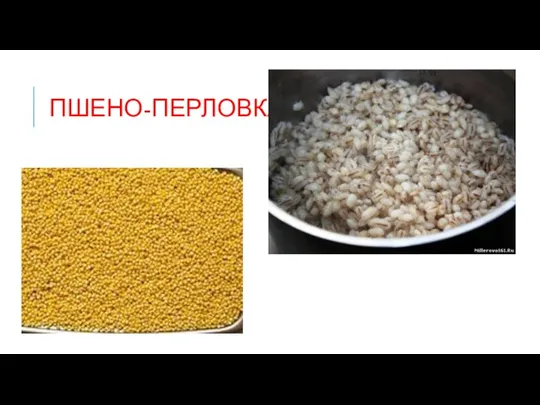 Пшено-Перловка