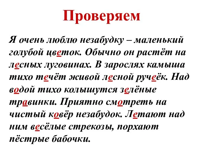 Я очень люблю незабудку – маленький голубой цветок. Обычно он растёт