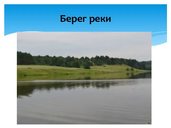 Берег реки