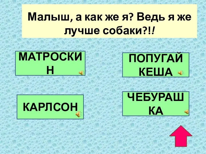 Малыш, а как же я? Ведь я же лучше собаки?!! МАТРОСКИН ПОПУГАЙ КЕША КАРЛСОН ЧЕБУРАШКА