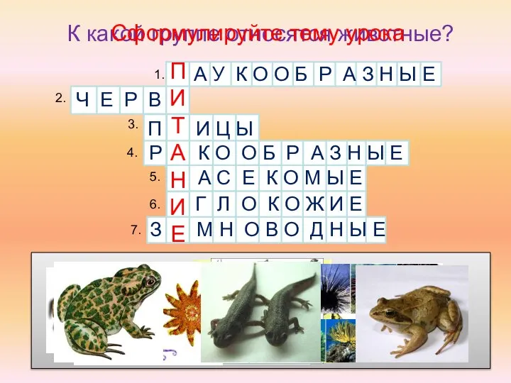 4. 2. 3. 1. 5. 6. 7. П А У К