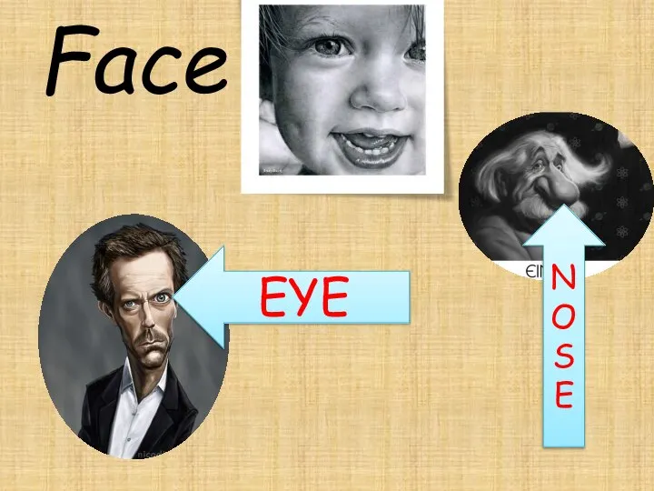 Face EYE NOSE