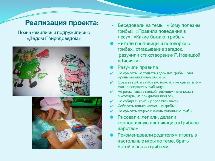 Реализация проекта: Беседовали на темы: «Кому полезны грибы», «Правила поведения в