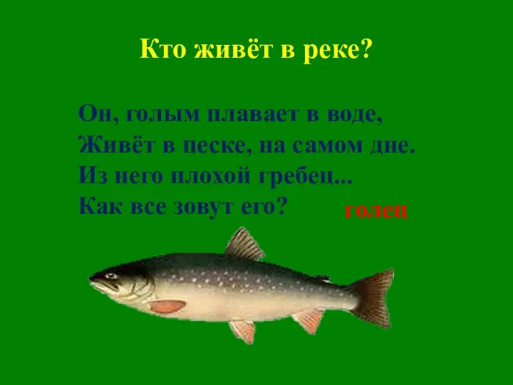 Кто живёт в реке? Он, голым плавает в воде, Живёт в