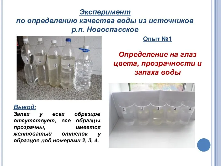 Вывод: Запах у всех образцов отсутствует, все образцы прозрачны, имеется желтоватый