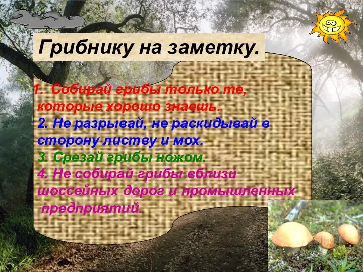 Собирай грибы только те, которые хорошо знаешь. 2. Не разрывай, не