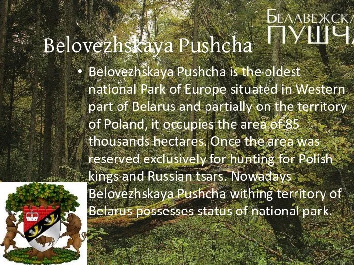 Belovezhskaya Pushcha Belovezhskaya Pushcha is the oldest national Park of Europe