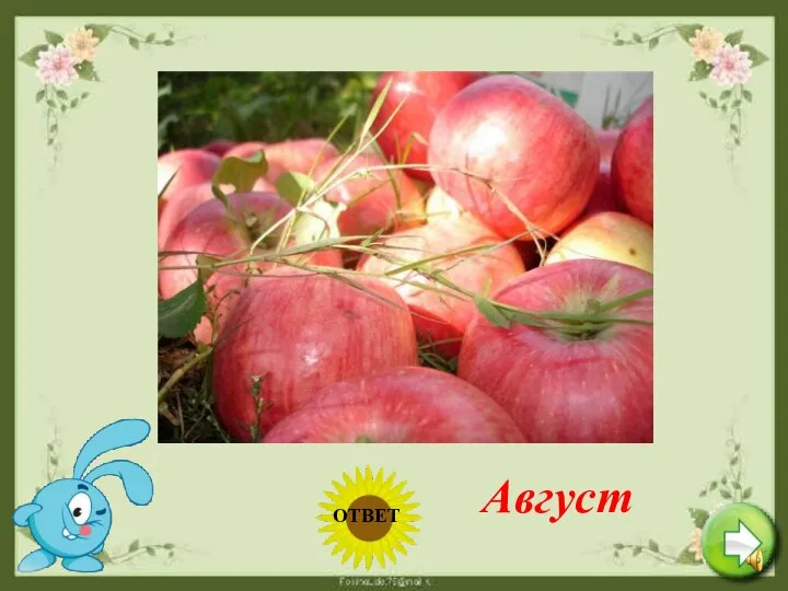Август Этот летний месяц жаркий Дарит всем свои подарки: Сливы, яблоки