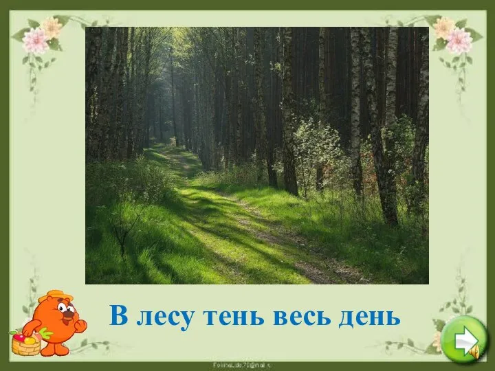 В лесу тень весь день