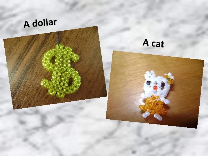 A dollar A cat