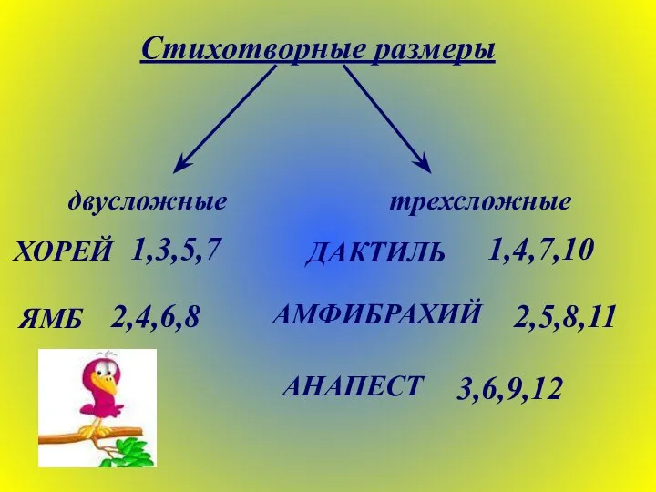 Стихотворные размеры двусложные трехсложные ХОРЕЙ 1,3,5,7 ЯМБ 2,4,6,8 ДАКТИЛЬ АМФИБРАХИЙ АНАПЕСТ 1,4,7,10 2,5,8,11 3,6,9,12