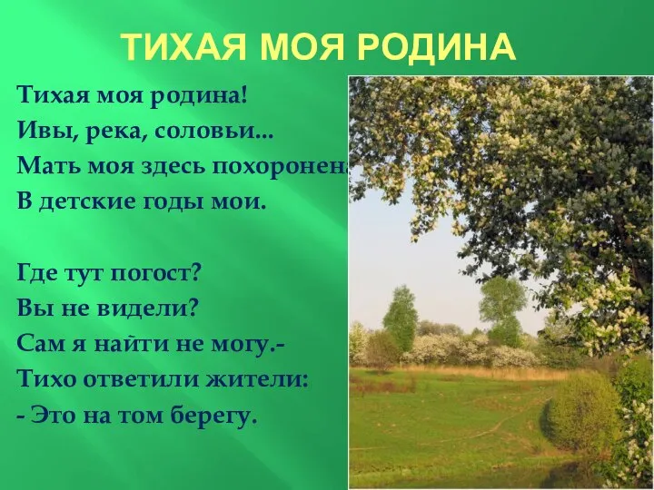 ТИХАЯ МОЯ РОДИНА Тихая моя родина! Ивы, река, соловьи... Мать моя