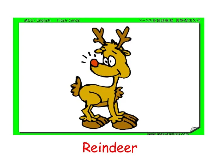 Reindeer