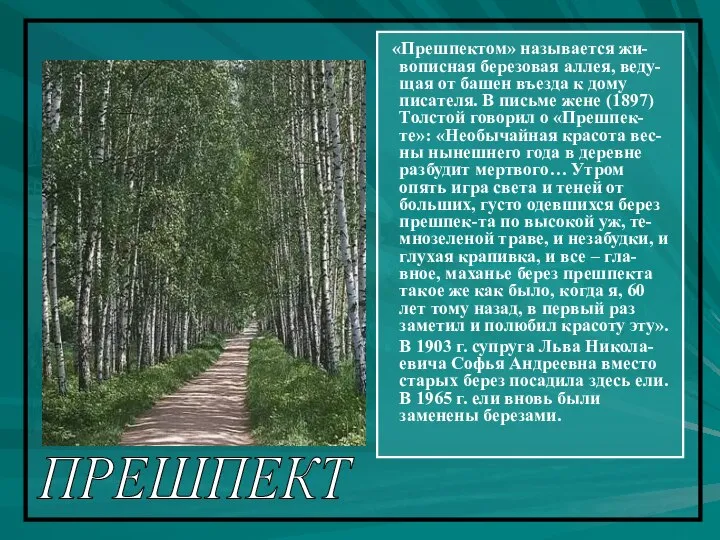 ПРЕШПЕКТ «Прешпектом» называется жи-вописная березовая аллея, веду-щая от башен въезда к