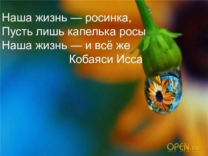 Наша жизнь — росинка, Пусть лишь капелька росы Наша жизнь — и всё же Кобаяси Исса