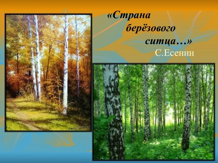 «Страна берёзового ситца…» С.Есенин