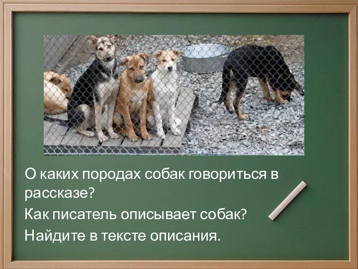 О каких породах собак говориться в рассказе? Как писатель описывает собак? Найдите в тексте описания.