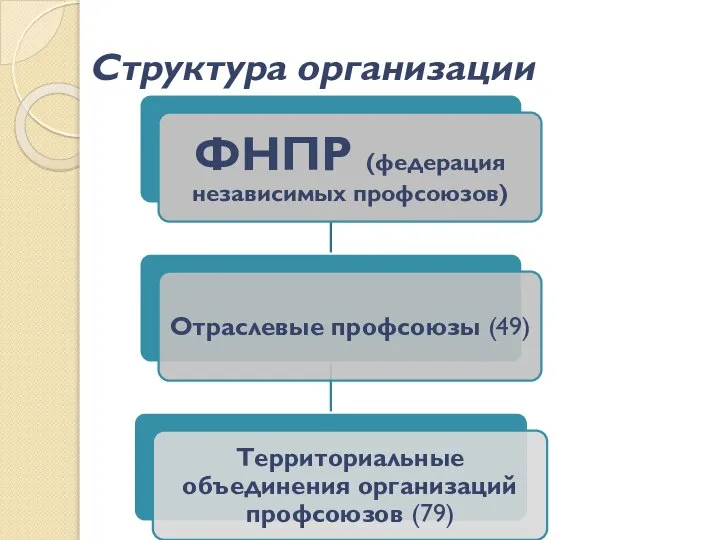 Структура организации