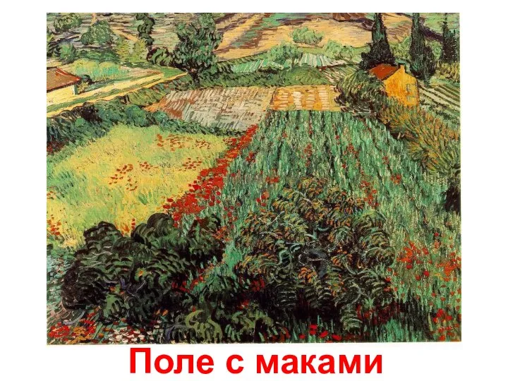 Поле с маками