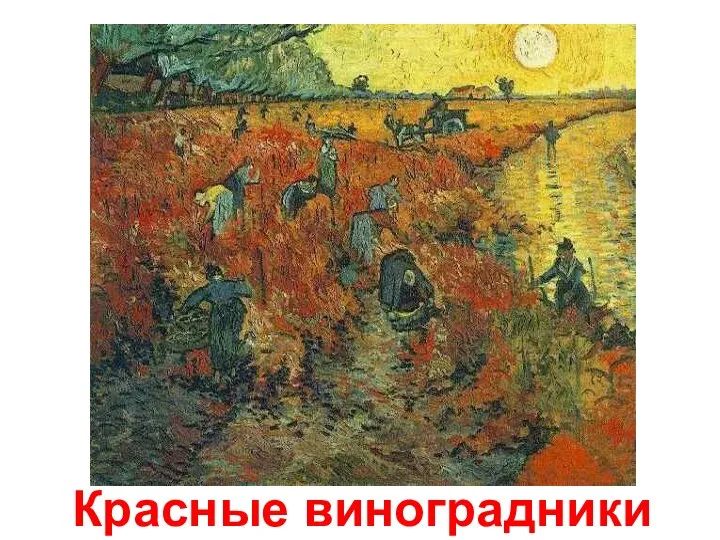 Красные виноградники