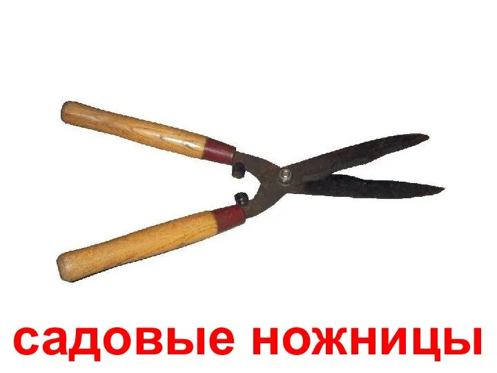 садовые ножницы