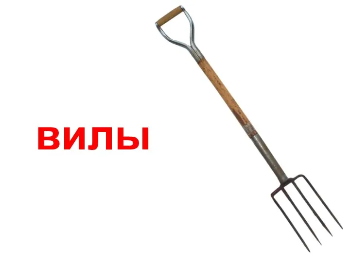 вилы