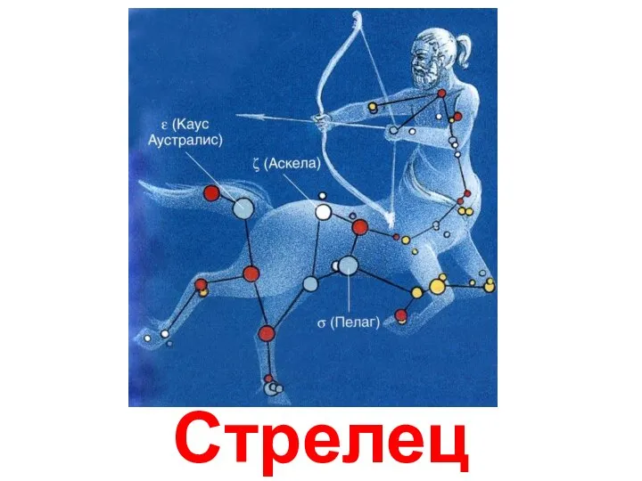 Стрелец