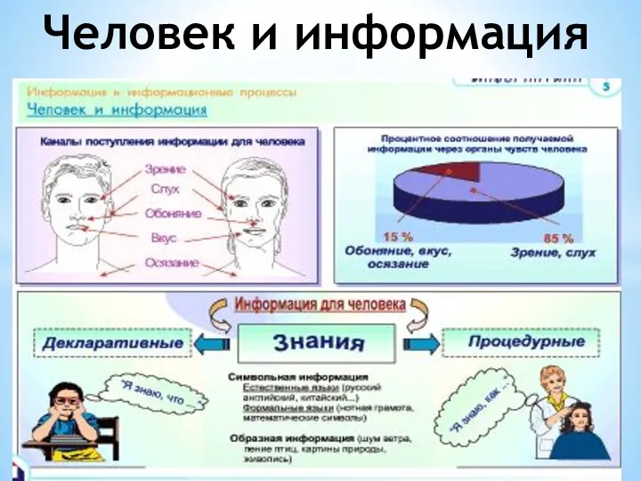 Человек и информация