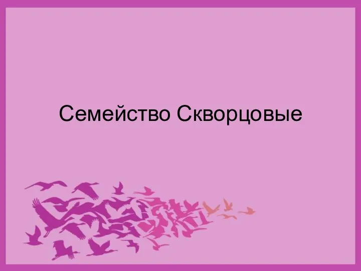 Семейство Скворцовые