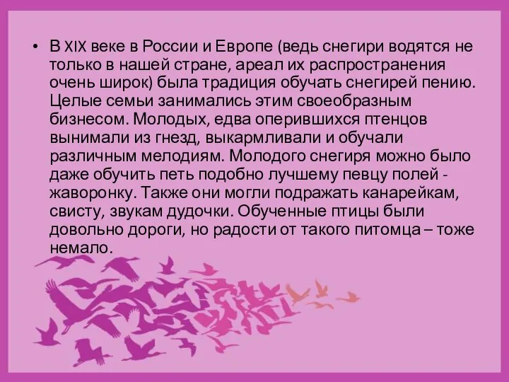 В XIX веке в России и Европе (ведь снегири водятся не