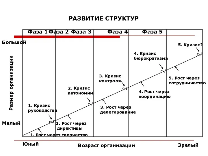 РАЗВИТИЕ СТРУКТУР Большой Малый Юный Зрелый Возраст организации Размер организации Фаза