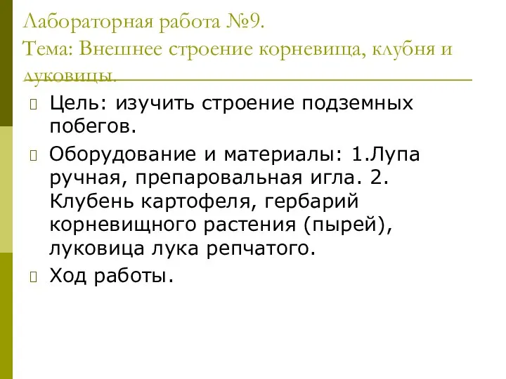 Лабораторная работа №9. Тема: Внешнее строение корневища, клубня и луковицы. Цель: