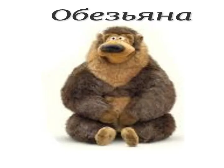 Обезьяна