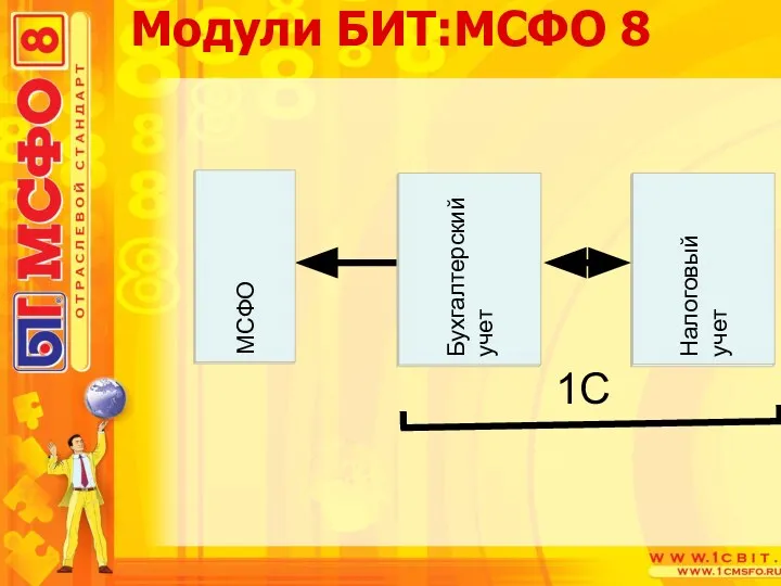 Модули БИТ:МСФО 8