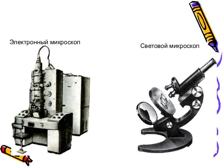 Электронный микроскоп Световой микроскоп